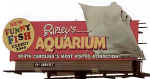 ripley's aquarium 2.jpg (68762 bytes)